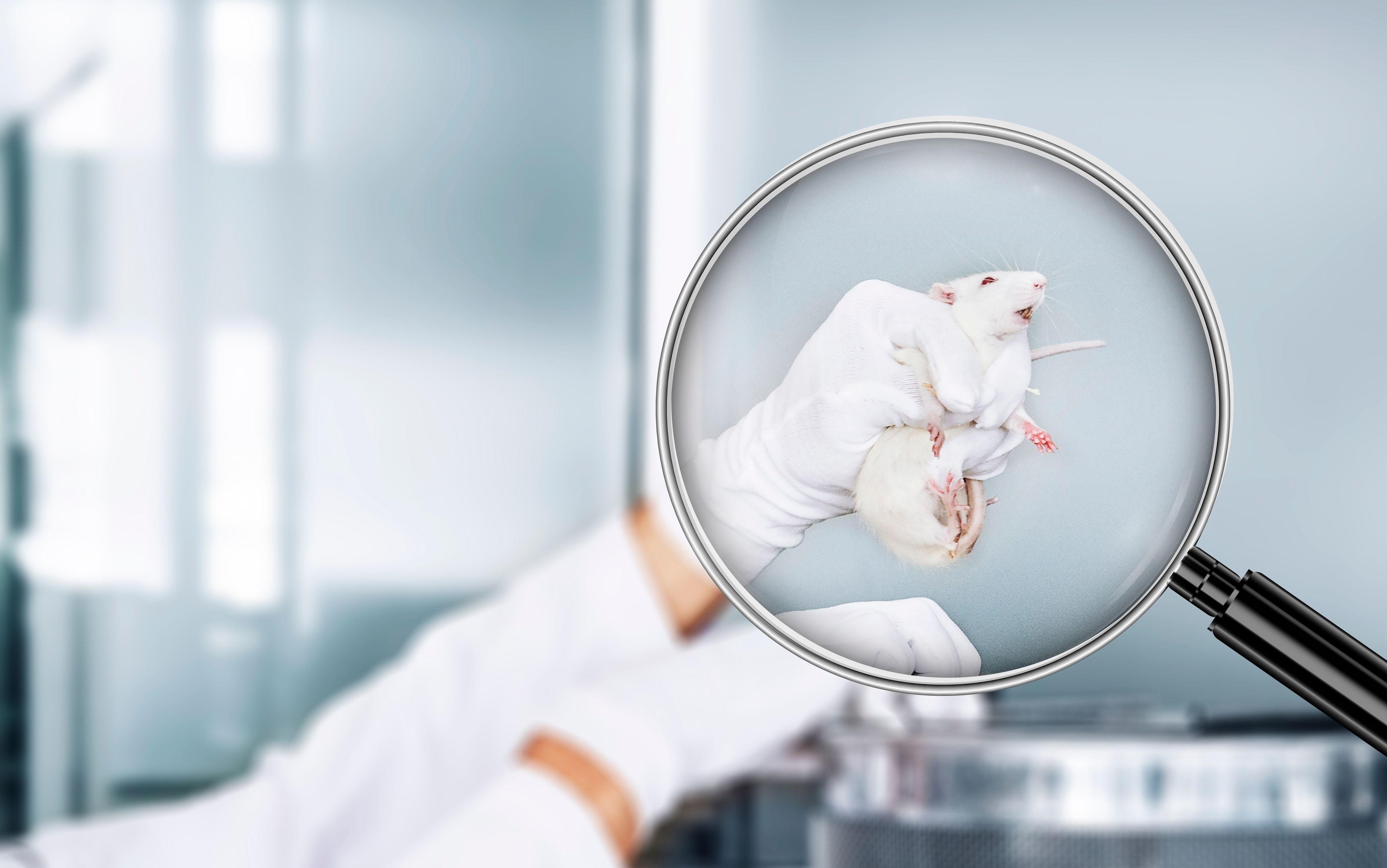 Hu-Immune™ Platform: Humanized Immune System Mouse Models