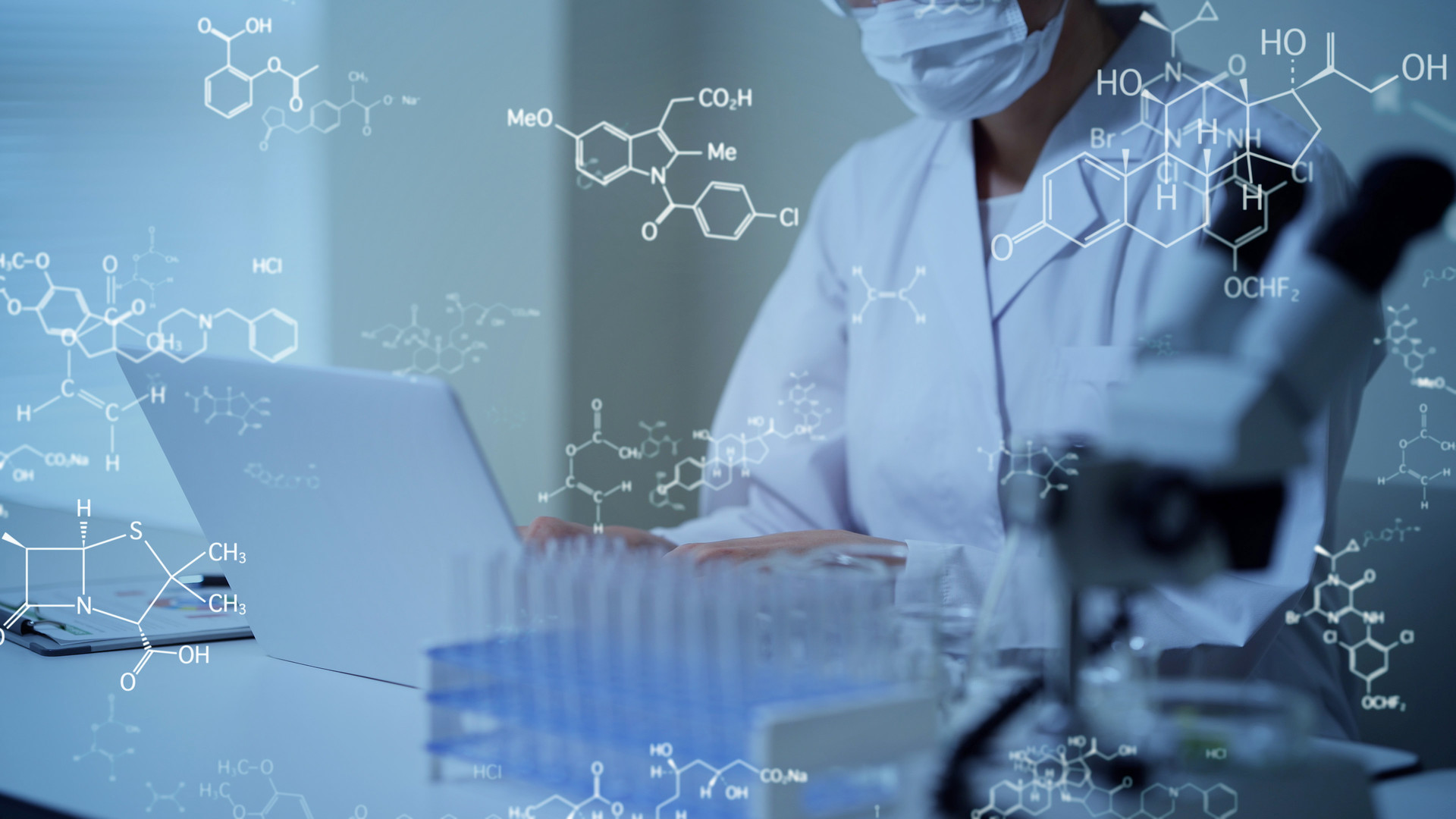 Immuno-oncology preclinical research services - Comprehensive study design