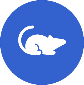 Immune Checkpoint Inhibitors picture