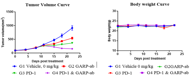 Anti-tumor efficacy of PD-1, GARP-ab, and their combination in huPBMC-T humanized NCG model.