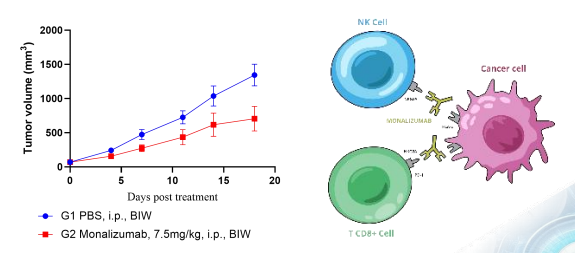 Enhanced anti-tumor efficacy via NK cell checkpoint blockade.