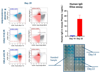 Fig.1 huPBMC-B: high-level B reconstruction.