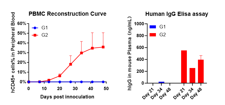 Fig.3 Human leukocyte reconstitution and plasma IgG secretion in the huPBMC-B model.