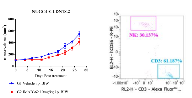 Fig.3 Anti-tumor activity of a CLDN18.2 antibody and human immune compartments in a huHSC (CD34⁺) humanized NCG model.