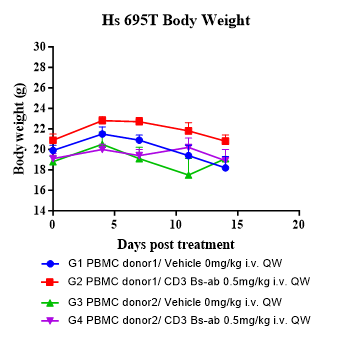 Fig.2 CD3 BsAb efficacy study in huPBMC Humanized Model.